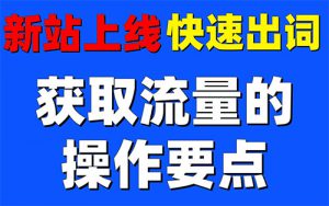 让网站的流量有大幅度的提升