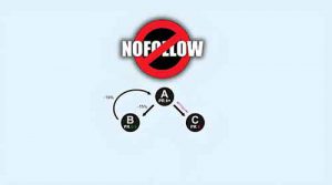 带nofollow标签的外链