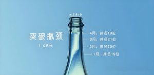 网站文章收录