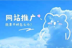 石家庄网站推广优化公司