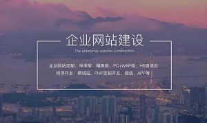 石家庄网络开发公司