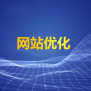 网站收录异常?三步自检noindex标签误设问题
