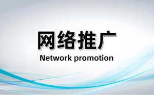 石家庄网络公司推荐