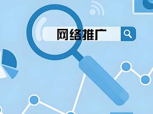 石家庄网络推广优化
